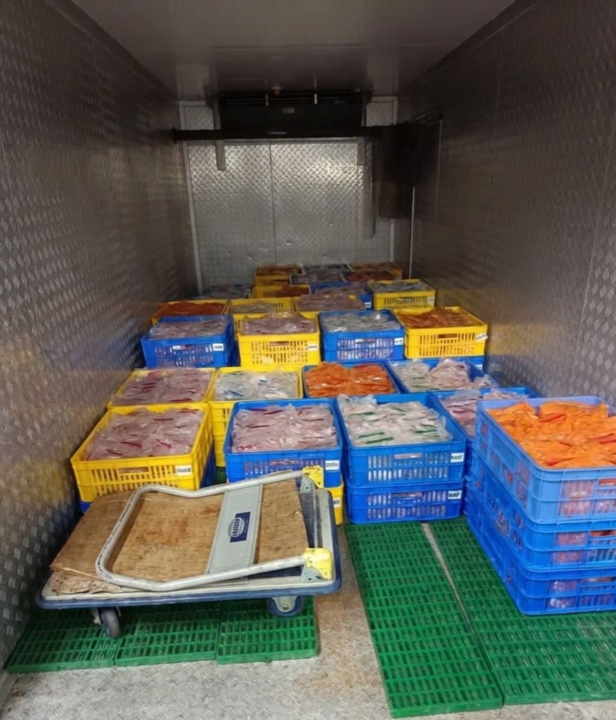 WhatsApp Image 2025-12-25 at 2.32.26 PM (1)